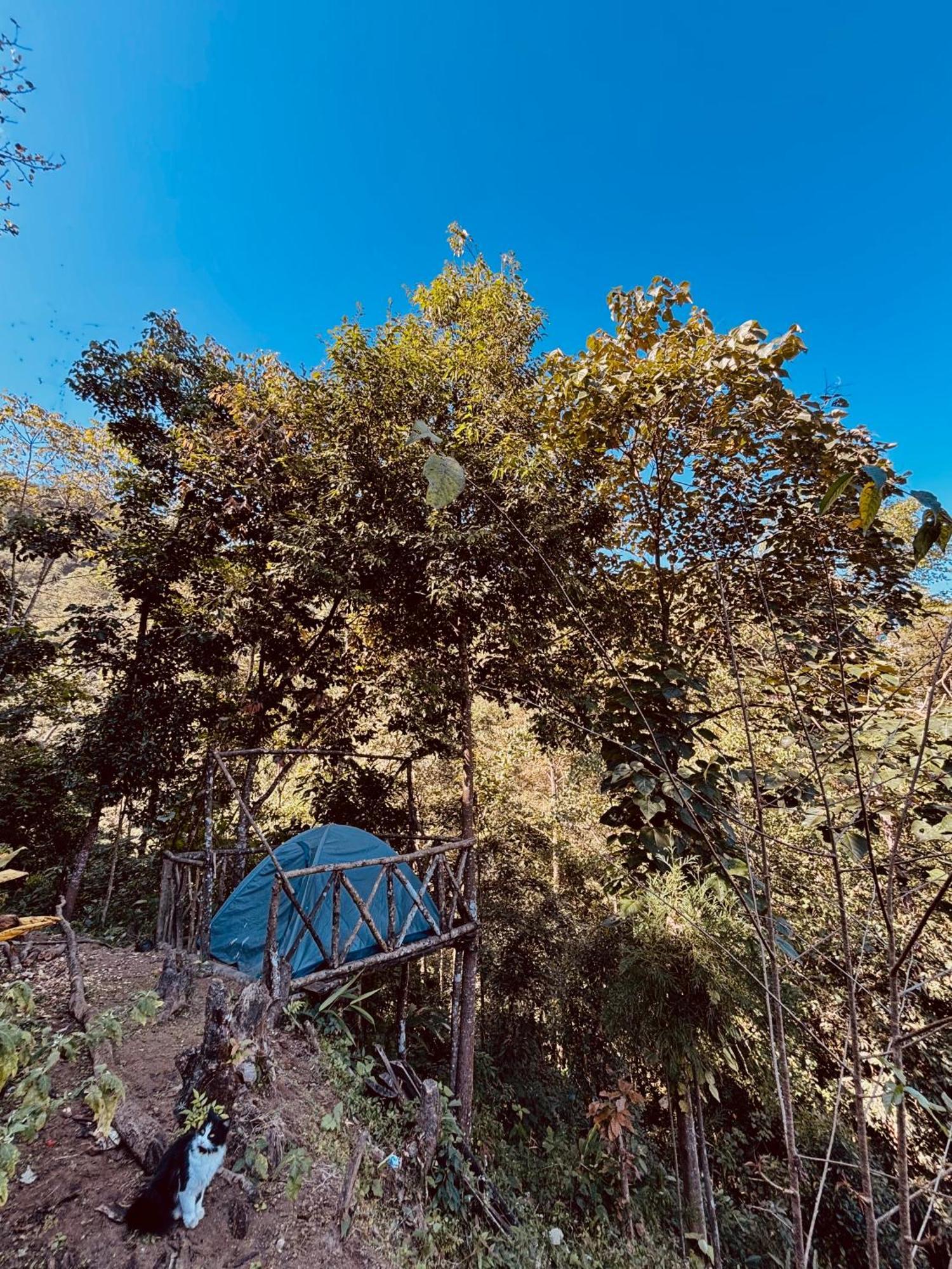 Hosanna Homestay Darjeeling  Ngoại thất bức ảnh