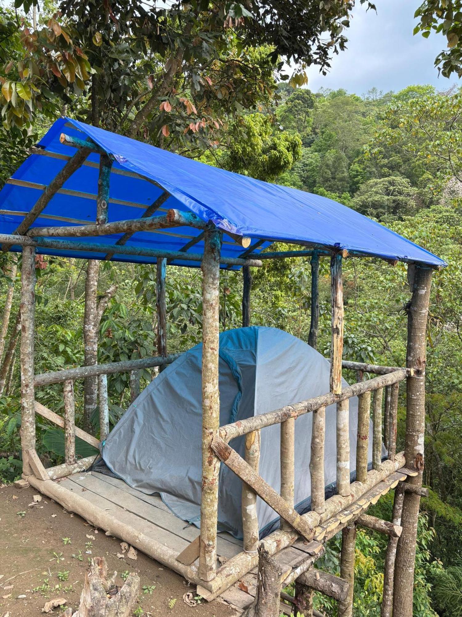 Hosanna Homestay Darjeeling  Ngoại thất bức ảnh